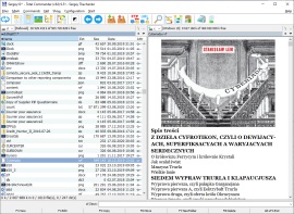 Total Commander Plugin zur Anzeige von DocX, RTF, RVF-Dateien